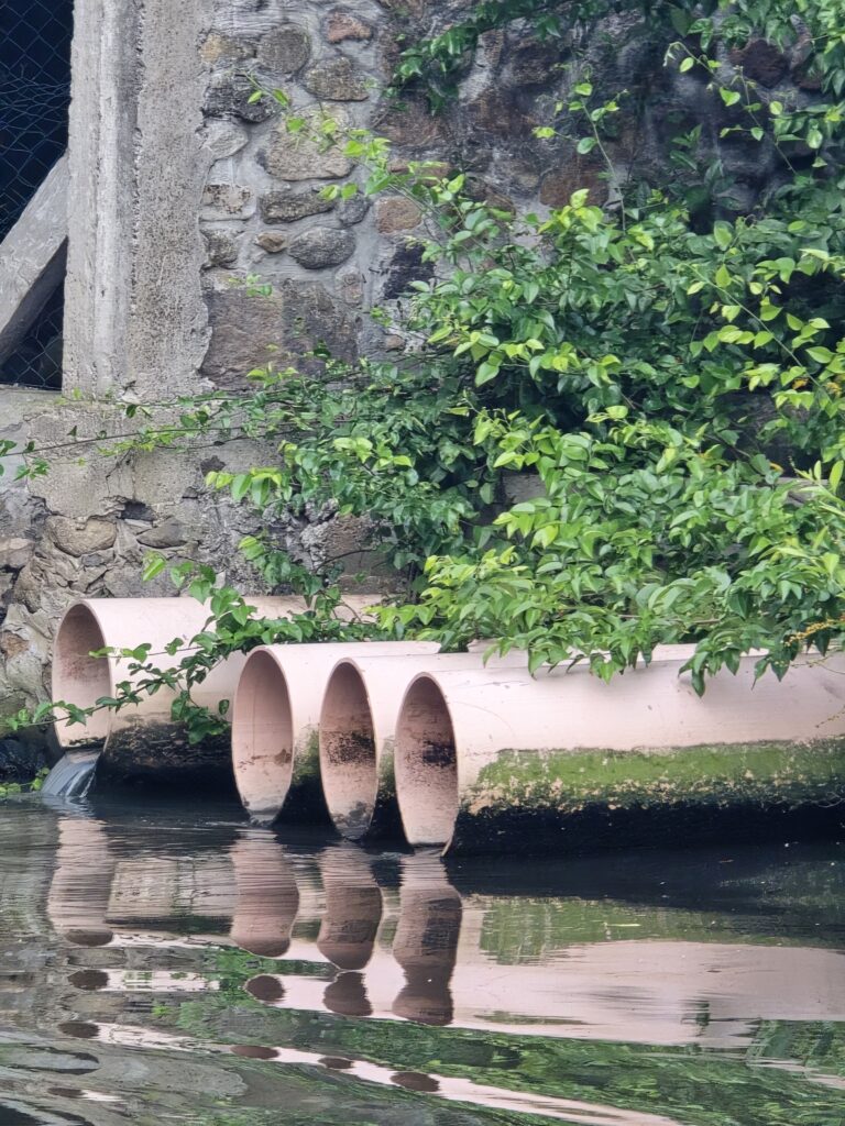 Entramos a Arroyo Moreno: tuberías, agua oscura y residuos en su ruta hacia el Jamapa 20260828 072554