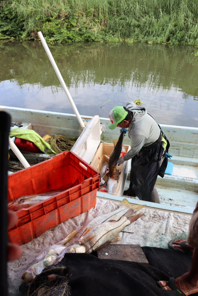 Los fundadores olvidados: pescadores de Boca del Río entre la tradición y un río bajo presión img 5428
