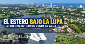 El Estero bajo la lupa: lo que encontramos al recorrer los canales de El Conchal